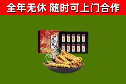 卢湾区烟酒回收冬虫夏草礼盒.jpg